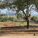 Fyroa *